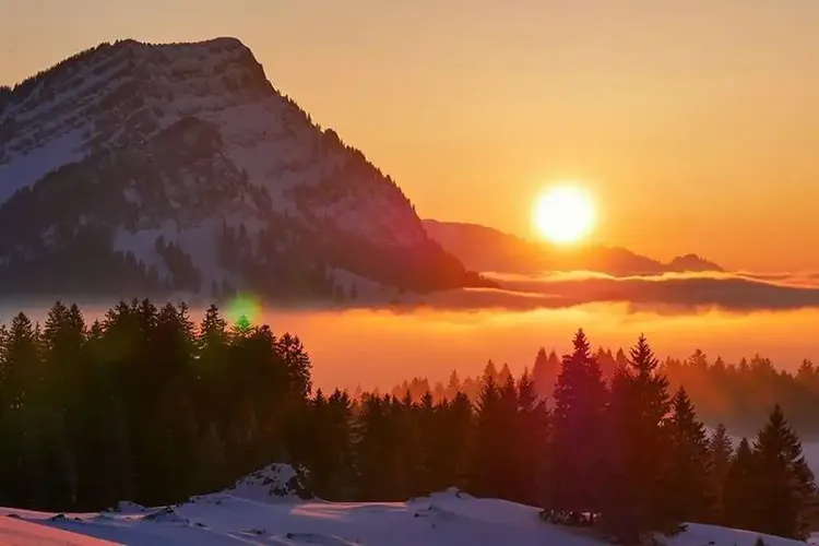 Sex Appenzell