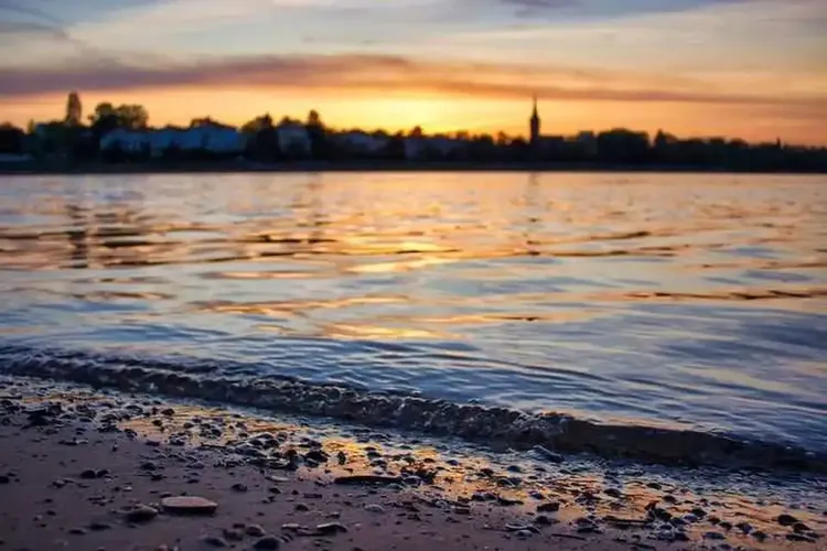 Sexdates Bonn