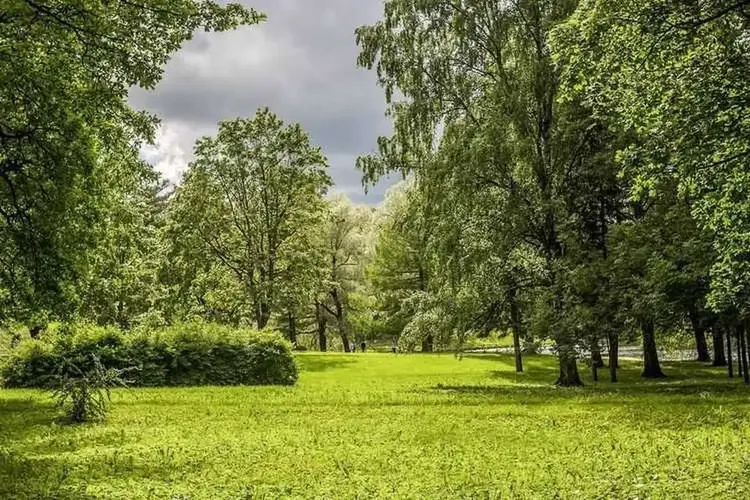 Hobbyhuren Norderstedt